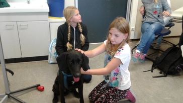 Hunde im Klassenzimmer